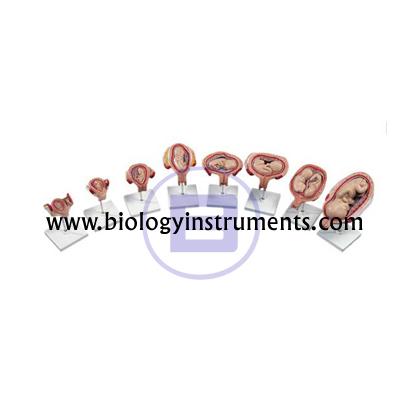 School Biology Instrument Suppliers and Biology Lab Equipments Manufacturers Martinique