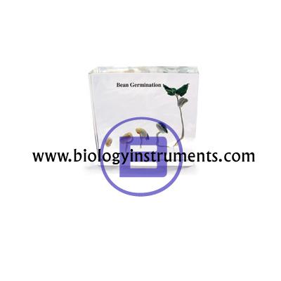 School Biology Instrument Suppliers and Biology Lab Equipments Manufacturers Dominica